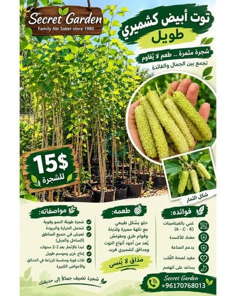 امتلك ملك الفواكه في حديقتك!